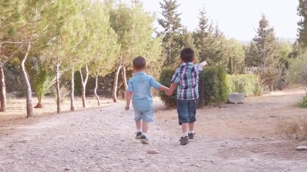 상냥 한 취학전 아동들, 형제들, 손을 잡고 공원을 산책하는 모습. 느린 동작을 다시 보고 — 비디오