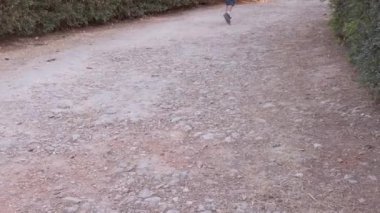 Parkta çalıların arasında tozlu yolda koşan sevimli bebekler. Düşük açı görünümü