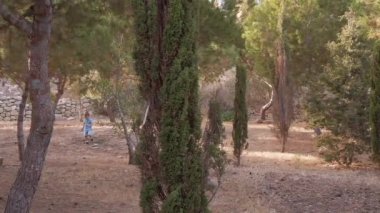 Sevimli çocuk bir yaz günü küçük bir park ormanını keşfediyor. Doğadaki çocuklar