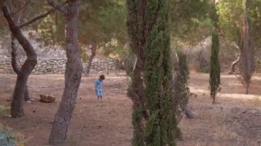 Küçük tatlı çocuk yaz günü küçük bir park ormanını keşfediyor. Doğadaki çocuklar