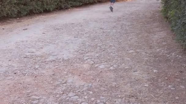 Милые детишки бегают по пыльной дорожке в парке между кустами. Вид под низким углом — стоковое видео