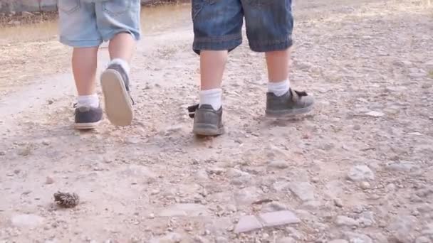 Aranyos testvérek, fogják egymás kezét és sétálnak a parkban. Vissza nézet lassított felvétel — Stock videók