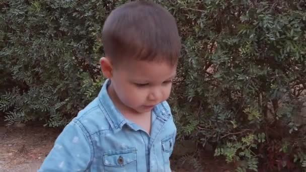Aranyos kisbaba sétál a parkban és fogja a testvére kezét. — Stock videók