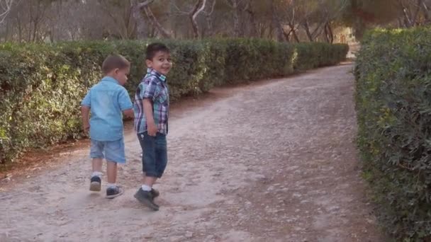 Adorable prescool boys siblings, holding hands and walking in the park. Slow motion — Stock Video