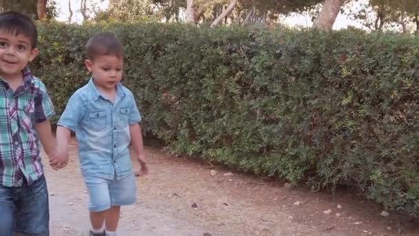 Parkta yürüyen ve kardeşinin elini tutan tatlı çocuk. — Stok video