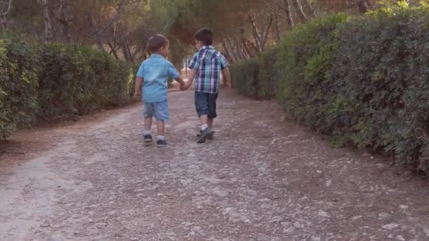 Aranyos testvérek, két óvodás fiú fogja egymás kezét és sétálnak a parkban. Vissza nézet lassított felvétel — Stock videók