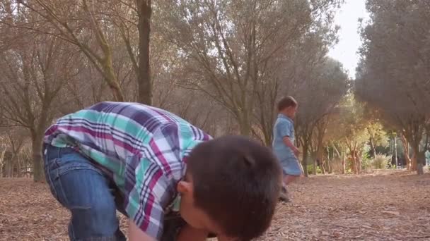 Söta syskon kastar torra löv i parken. Bröder som har roligt i naturen — Stockvideo