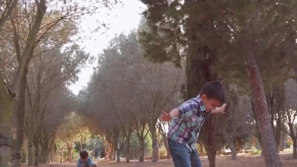 Roztomilí sourozenci házejí suché listí do parku. Bratři se baví v přírodě — Stock video