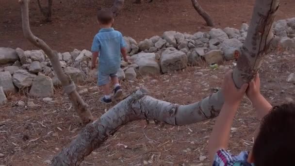 Δύο μικρά αγόρια είναι στη φύση, ένα εκ των οποίων βαδίζει προς τα βράχια. — Αρχείο Βίντεο