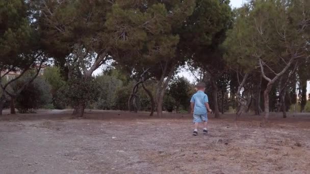 Uma criança pequena em jeans caminha pelo parque em direção às árvores — Vídeo de Stock
