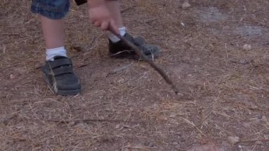 Küçük bir çocuk parkta toprak üzerinde tahta bir sopa deseniyle bacaklarını açıyor.