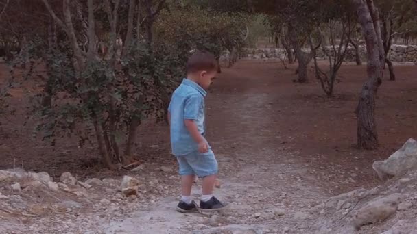 Un niño pequeño en jeans camina por un sendero montañoso y desigual en la naturaleza — Vídeos de Stock