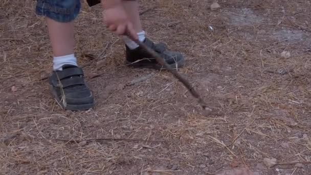 Küçük bir çocuk parkta toprak üzerinde tahta bir sopa deseniyle bacaklarını açıyor. — Stok video