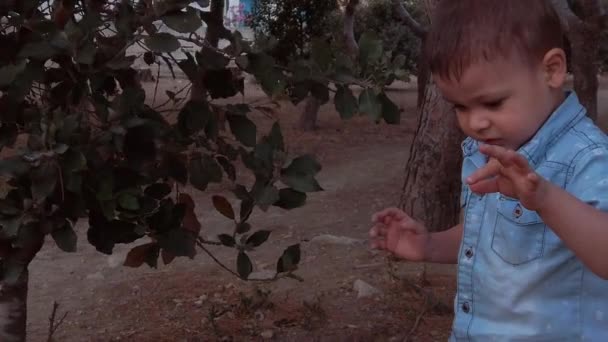 Los niños en el parque están de pie junto a un gran dosel de árbol — Vídeos de Stock