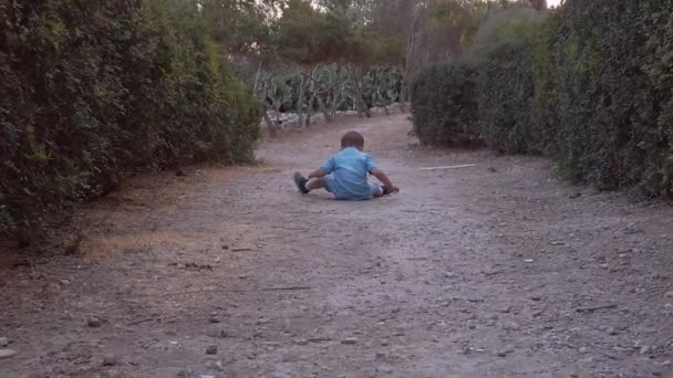 Sitzt der kleine Junge auf dem Weg und steht auf, so bewegt er sich durch den Park zwischen den Buchsbäumen — Stockvideo