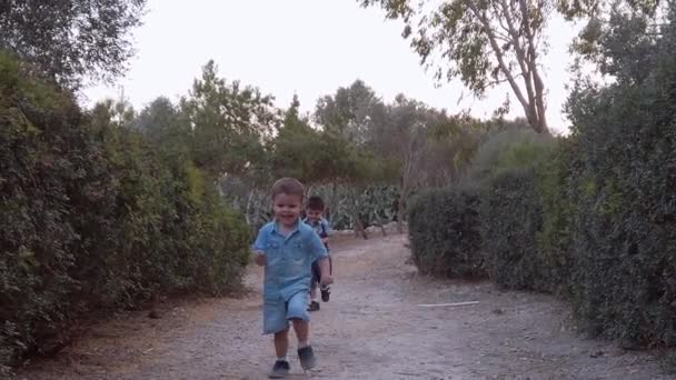 To små drenge løber smilende langs stien mellem bokseskoven – Stock-video