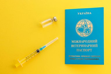 Şırınga, cam şişe, sıvı ve mikroçip numaralarını gösteren Ukrayna hayvan pasaportu. Uluslararası veteriner sertifikası. Kedi ya da köpek kimlik belgesi. Sağlık ve İlaç.