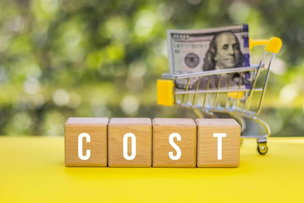 Wood Cubes Text Cost Mini Shopping Cart 100 Dollars Natural — Stock Photo, Image