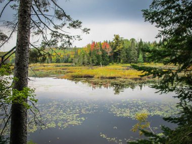 View from and on Thousand Islands in the Saint Lawrence River,  Ontario, Canada