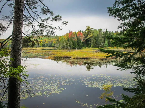 View Thousand Islands Saint Lawrence River Ontario Canada — Stock Photo, Image