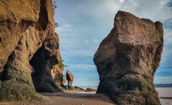 Hopewell Rocks Park Canada Situé Sur Les Rives Baie Fundy — Photo