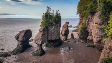 Hopewell Rocks Park in Canada, located on the shores of the Bay of Fundy in the North Atlantic Ocean clipart