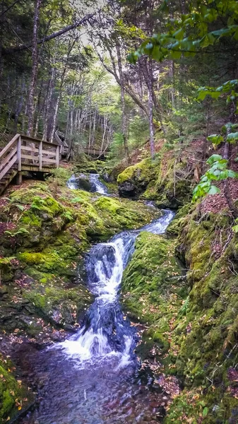 Vista Del Río Por Dickson Falls Trail Nuevo Brunswick Canadá —  Fotos de Stock