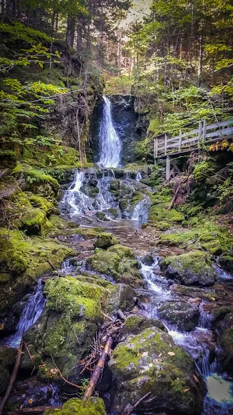 Vista Del Río Por Sendero Dickson Falls Trail Parque Nacional —  Fotos de Stock