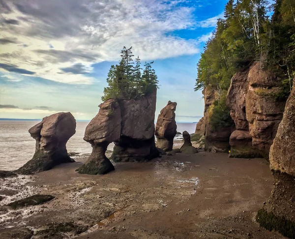 Hopewell Rocks Park Canadá Localizado Nas Margens Baía Fundy Oceano — Fotografia de Stock