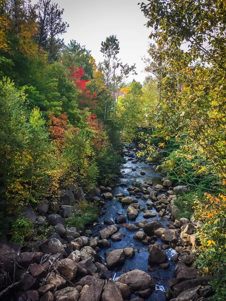 Arroyo Reserva Faunique Des Laurentides Una Reserva Vida Silvestre Quebec —  Fotos de Stock