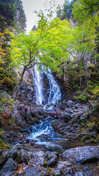 Vista Una Cascada Parte Del Sendero Dickson Falls Trail Ubicado —  Fotos de Stock