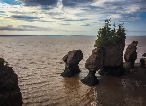 Hopewell Rocks Park Canadá Encuentra Orillas Bahía Fundy Océano Atlántico — Foto de Stock