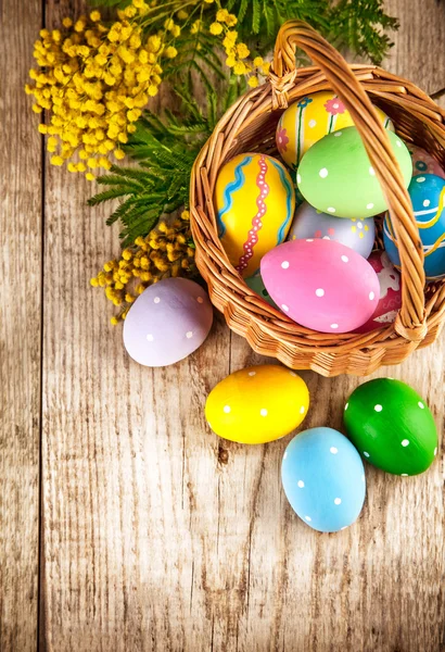 Easter eggs in wicker basket and branch mimisa — Stock Photo, Image