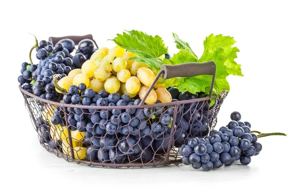 Basket blue and white grapes with green leaf — Stock Photo, Image