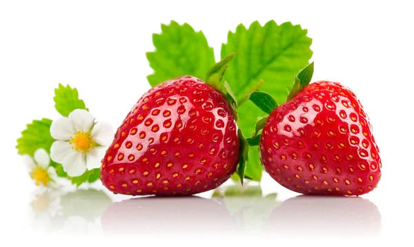 Fraises avec feuille verte et les fleurs isolées — Photo