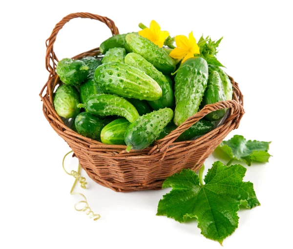 Čerstvé okurky v proutěném koši s zelená — Stock fotografie