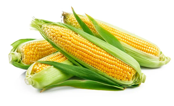 Fresh corn with green leaves still life vegetables — Stock Photo, Image
