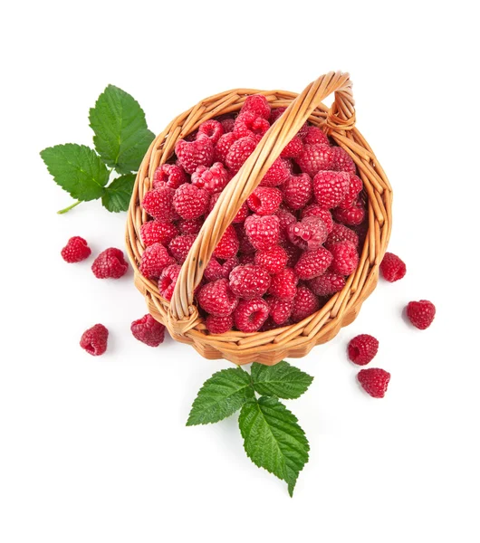 Frische Himbeeren in Weidenkorb mit grünen Blättern — Stockfoto