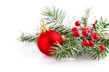 Christmas kırmızı topu ile şube firtree karda