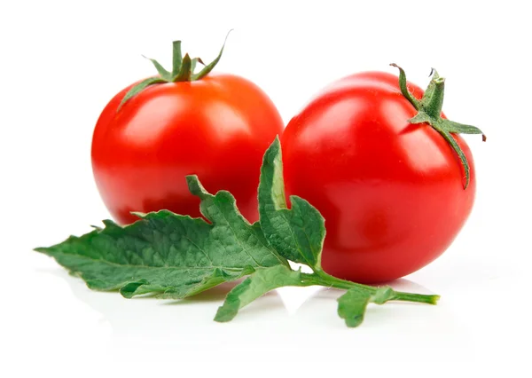 Red tomatoes with green leaf — Stock Photo, Image