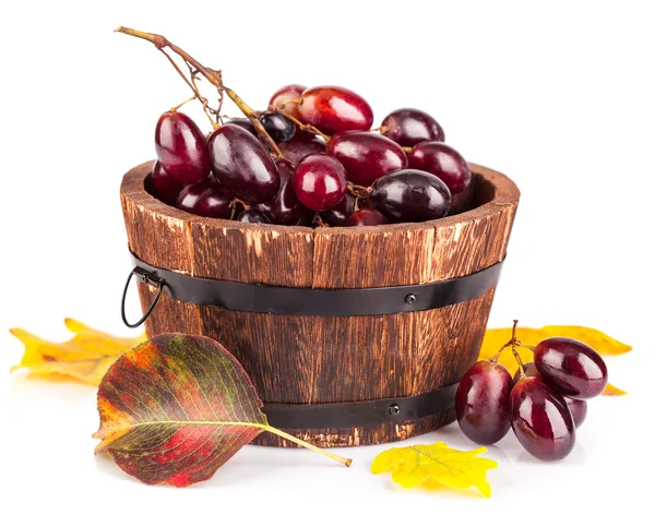 Färska druvor i trä korg med gula blad — Stockfoto