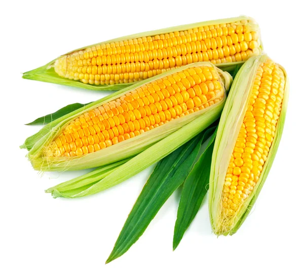 Frischer Mais mit grünem Blatt — Stockfoto