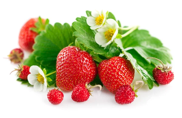 Frische Erdbeeren mit grünen Blättern und Blumen — Stockfoto