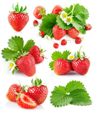 Berry çilek yaprak ve çiçek ile ayarla