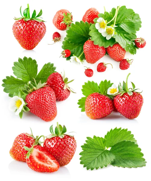 Set berry strawberry with leaves and flowers — Stock Photo, Image