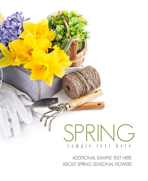 Spring flowers with garden tools — Stock Photo, Image