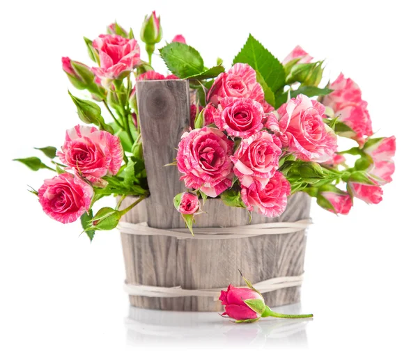 Bunch pink roses in wooden bucket — Stock Photo, Image