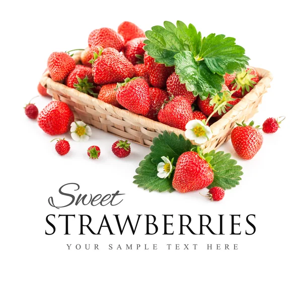 Basket fresh strawberry with green leaf and flower — Stock Photo, Image