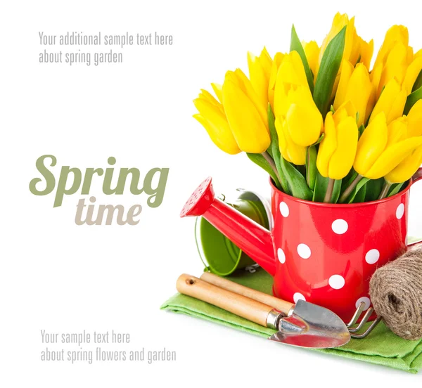 Våren blommor tulip med trädgårdsredskap — Stockfoto