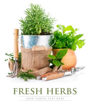 Bahçe aletleri ile taze yeşil otlar